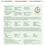 TEST PSYCHOMETRYCZNY Prism Brain Map